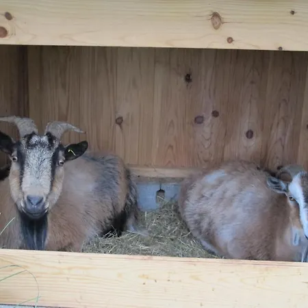 Le Corral D'hote * Cheminas